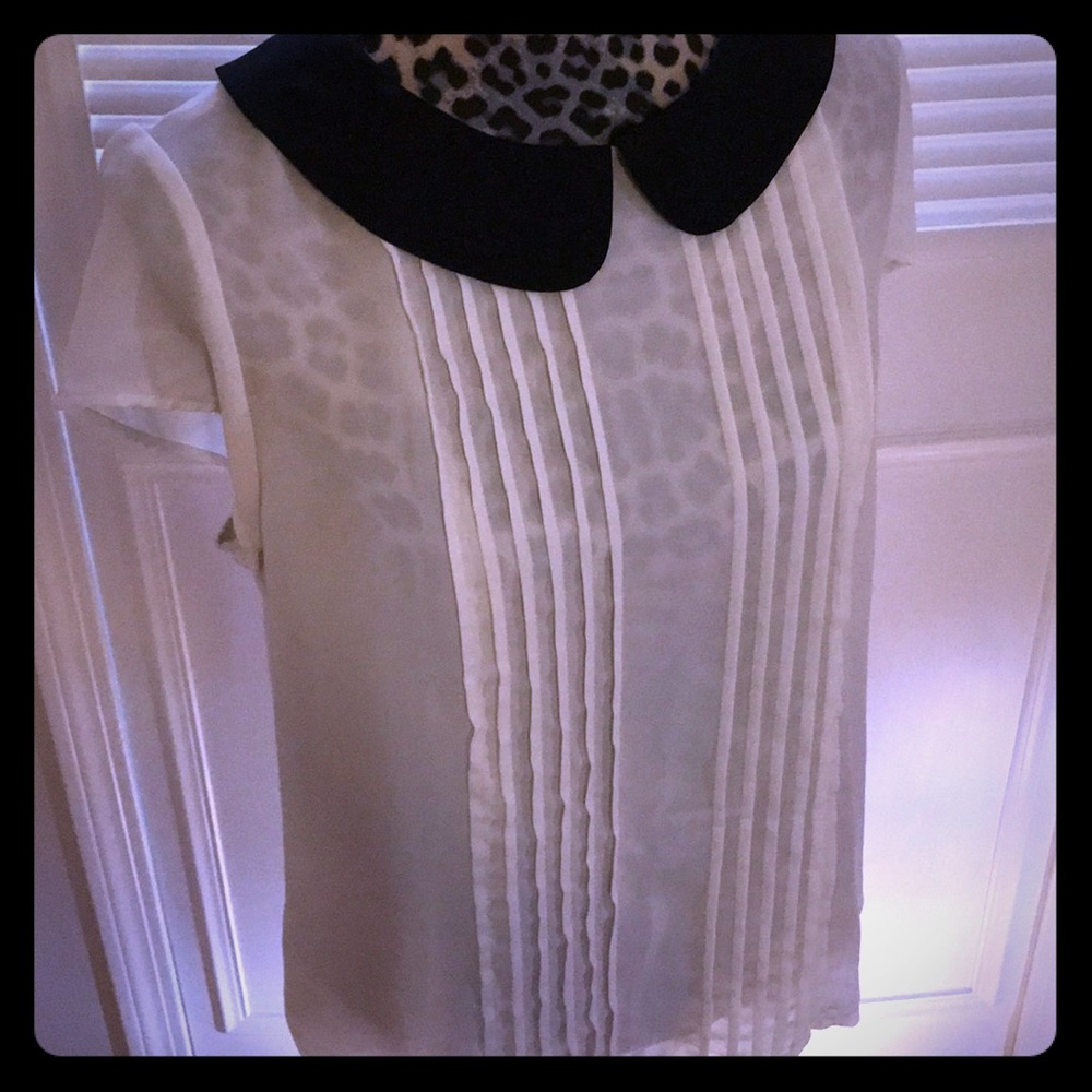 Sheer Peter Pan collar blouse
